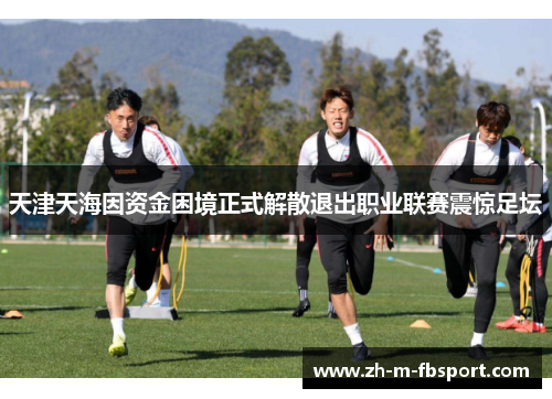 天津天海因资金困境正式解散退出职业联赛震惊足坛