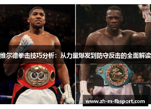 维尔德拳击技巧分析：从力量爆发到防守反击的全面解读
